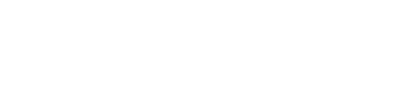 Metropolitan Security Services